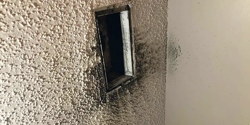 Preventing Biological Growth In Air Ducts - Extreme Air Duct Cleaning and Restoration Services