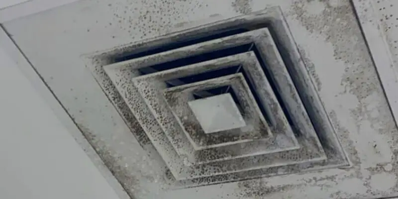 Mold Growth Indoors - Extreme-air-duct-cleaning-and-restoration-services