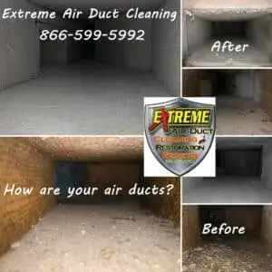 Foster cleaning