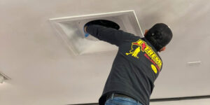 Is Pet Dander Lurking in Your Air Ducts - Extreme Air Duct Cleaning and Restoration Services