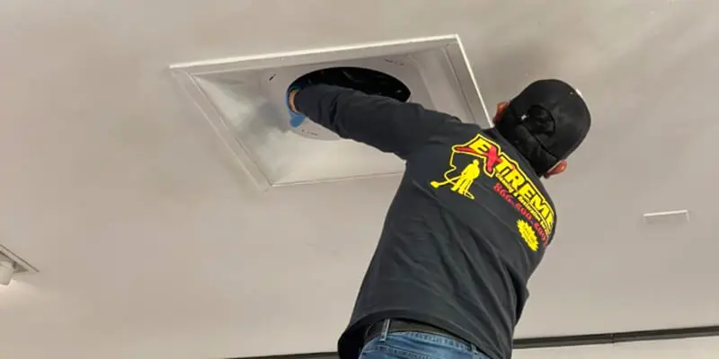 Is Pet Dander Lurking in Your Air Ducts - Extreme Air Duct Cleaning and Restoration Services