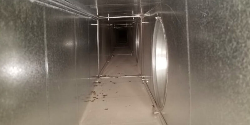 Air Duct Cleaning Friendswood TX - Extreme Air Duct Cleaning and Restoration Services