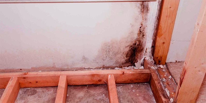does mold remediation work - Extreme Air Duct Cleaning and Restoration Services