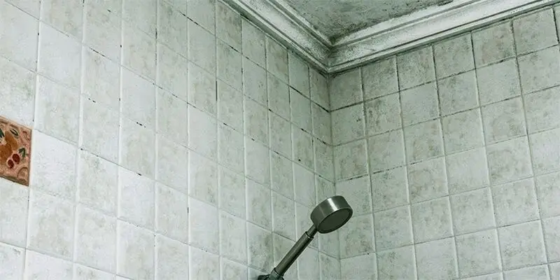 how to remove mold from bathroom ceiling - Extreme Air Duct Cleaning and Restoration Services