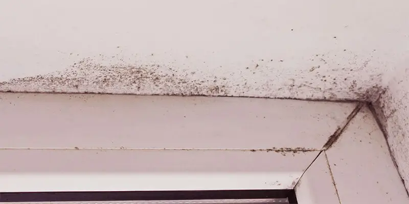 how to test for mold in air vents - Extreme Air Duct Cleaning and Restoration Services