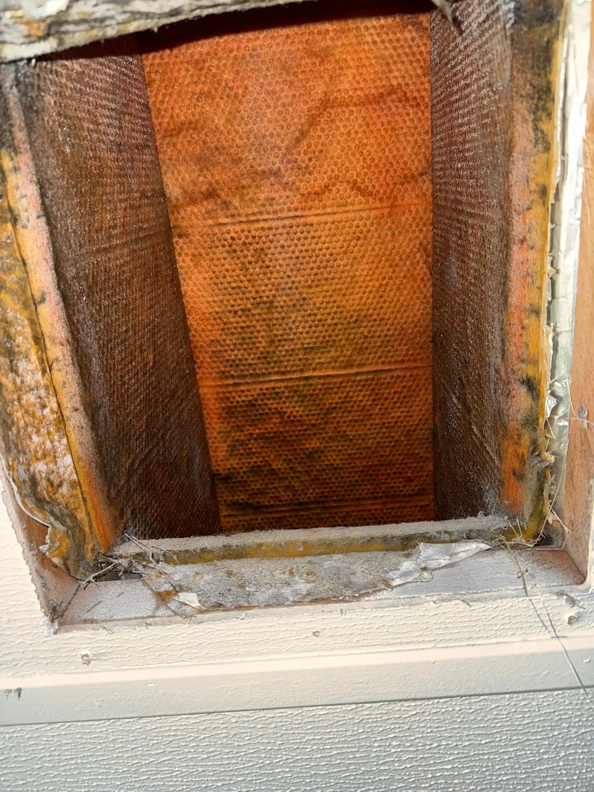 Residential full-detail air duct cleaning in East Houston, TX (77029) - supply run