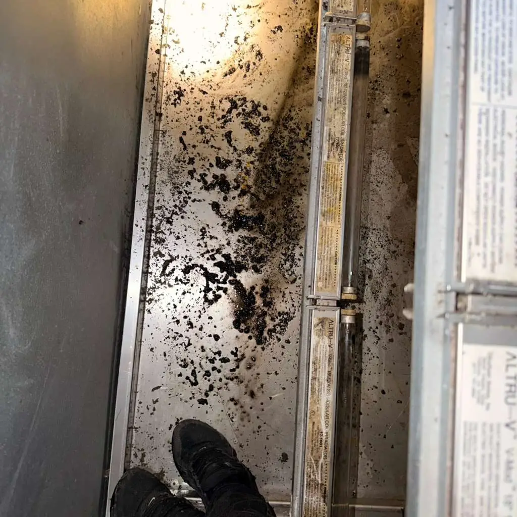 Drain pan with black biological growth beneath UV-C lamps before cleaning at the Katy Police Department