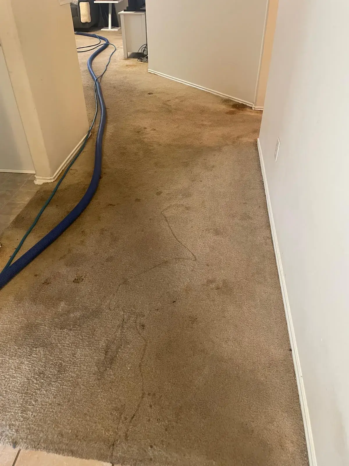 Heavily soiled hallway carpet with dark traffic lanes before professional carpet cleaning in Tomball TX 77375