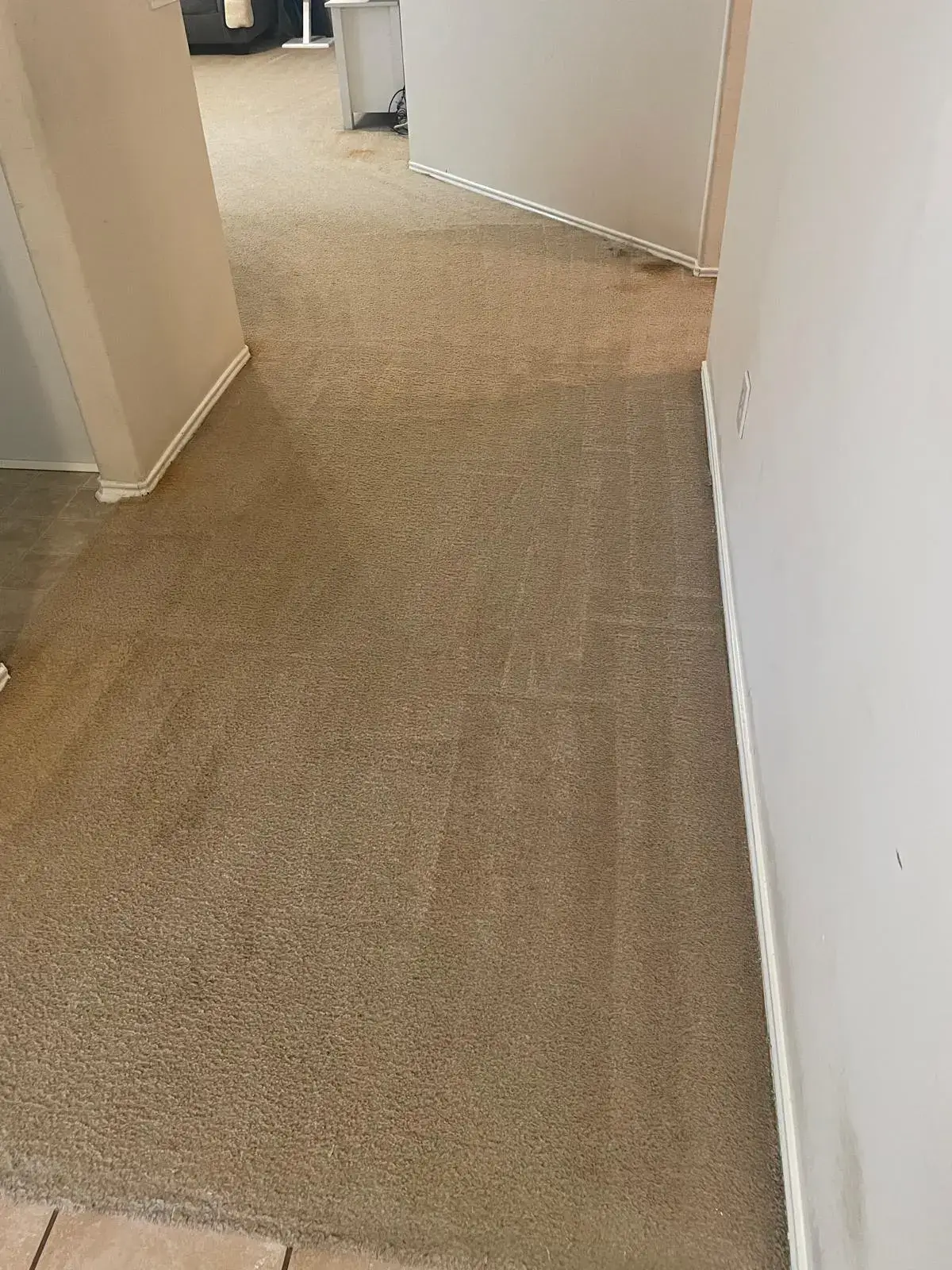 Clean hallway carpet after professional steam cleaning service in a Tomball TX home