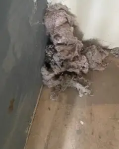 Large clump of lint pulled from a dryer vent during cleaning in a Sugar Land TX home