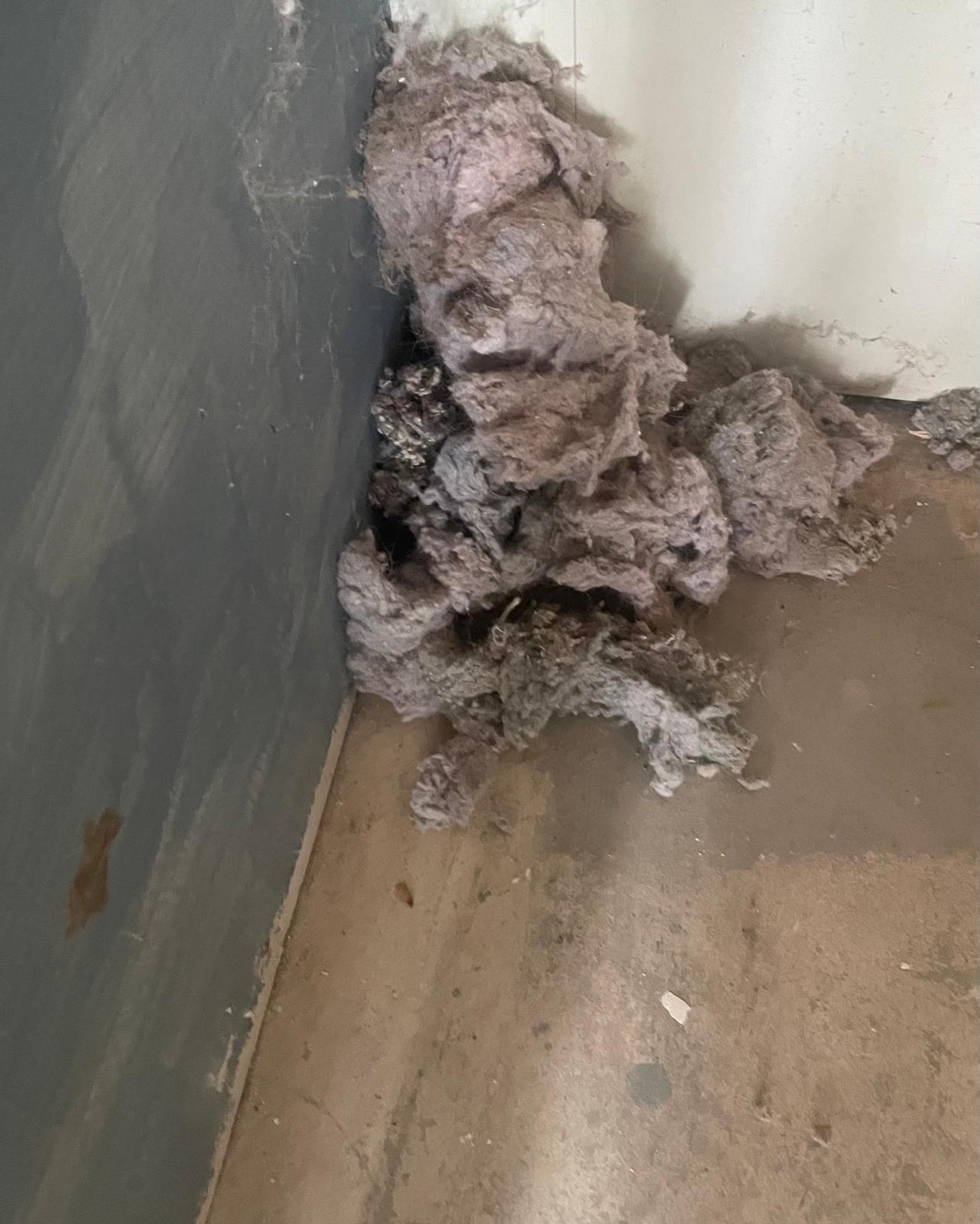 Large clump of lint pulled from a dryer vent during cleaning in a Sugar Land TX home