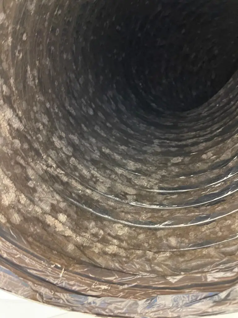 Air Duct Mold Inspection Houston Heavy dust buildup lining a commercial flex duct in the Houston area