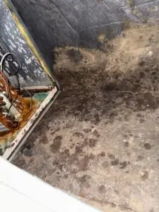 Severe black mold growth and copper coil corrosion inside an HVAC unit in a Magnolia TX home before air duct cleaning service