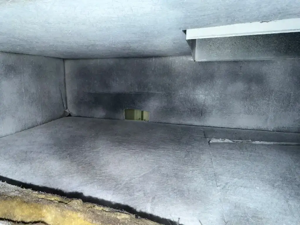 Clean duct board plenum after rotary brush and HEPA vacuum cleaning in Katy, TX 77450