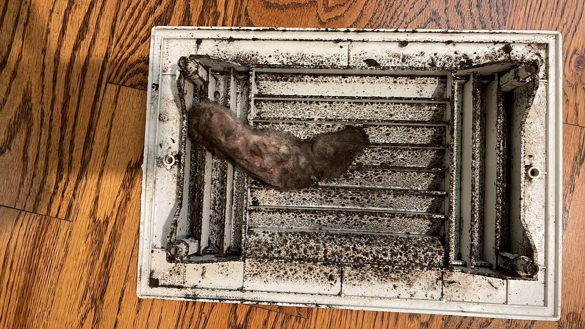 Moldy, debris-caked return air vent register found during air duct cleaning in Knollwood Village, Houston TX 77025
