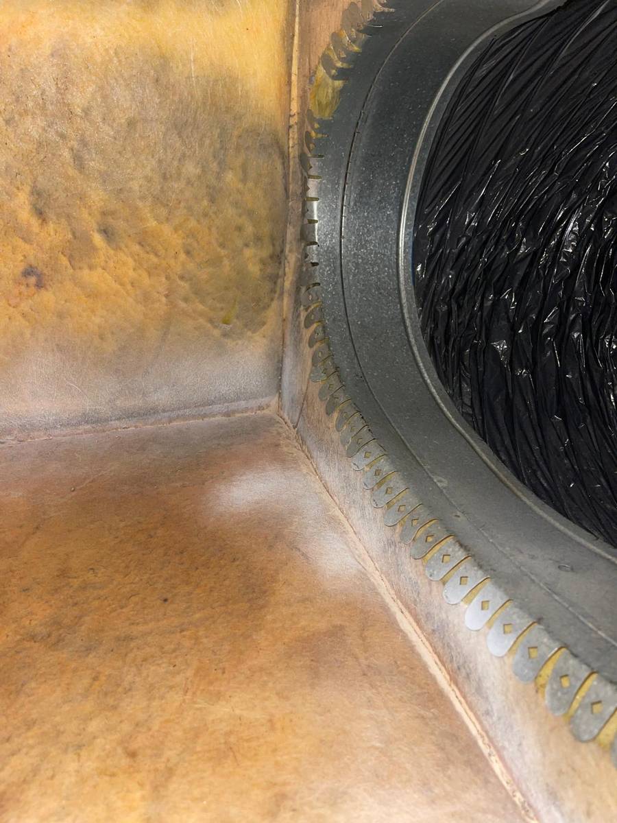 Mold growth on the ductboard plenum inside a Houston 77025 air duct system before cleaning