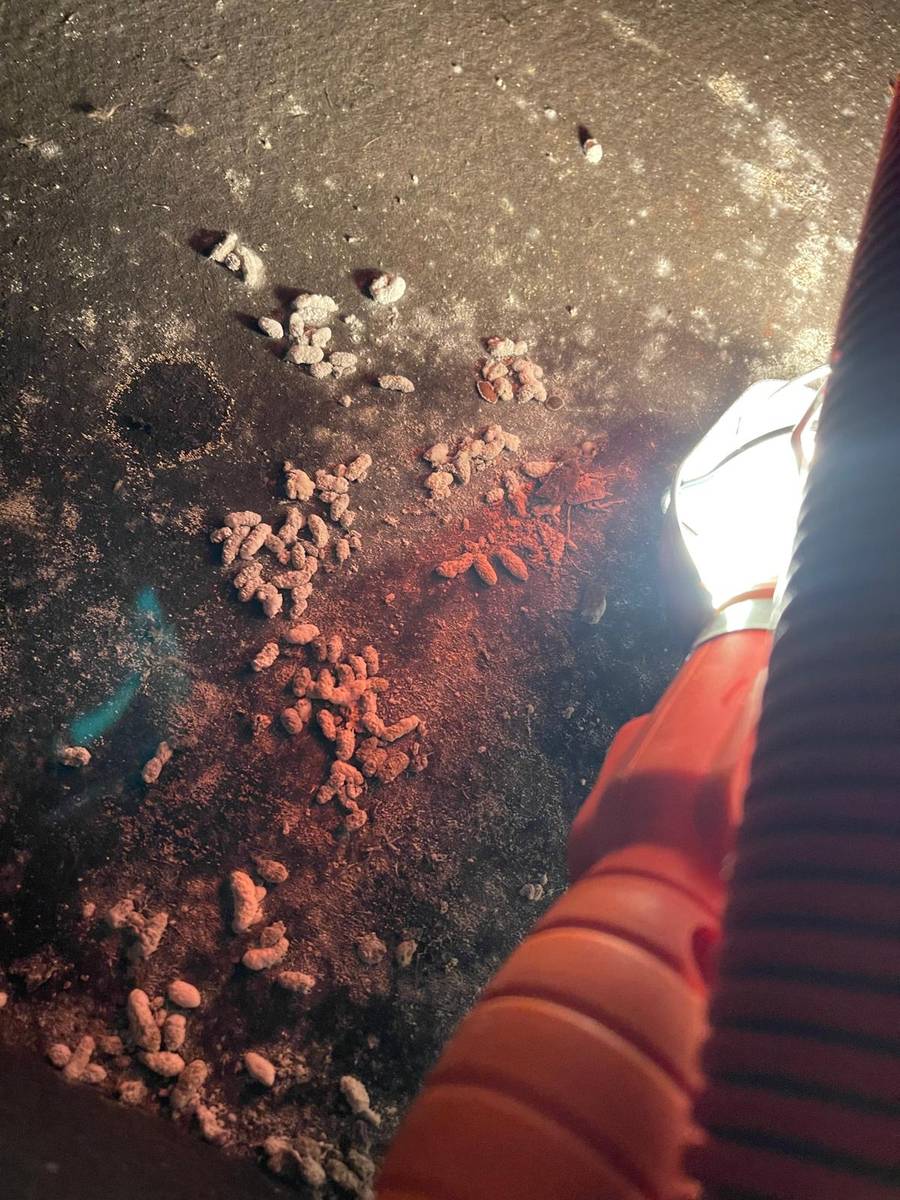 Droppings and debris on the floor of an air handler plenum before cleaning in Houston 77085