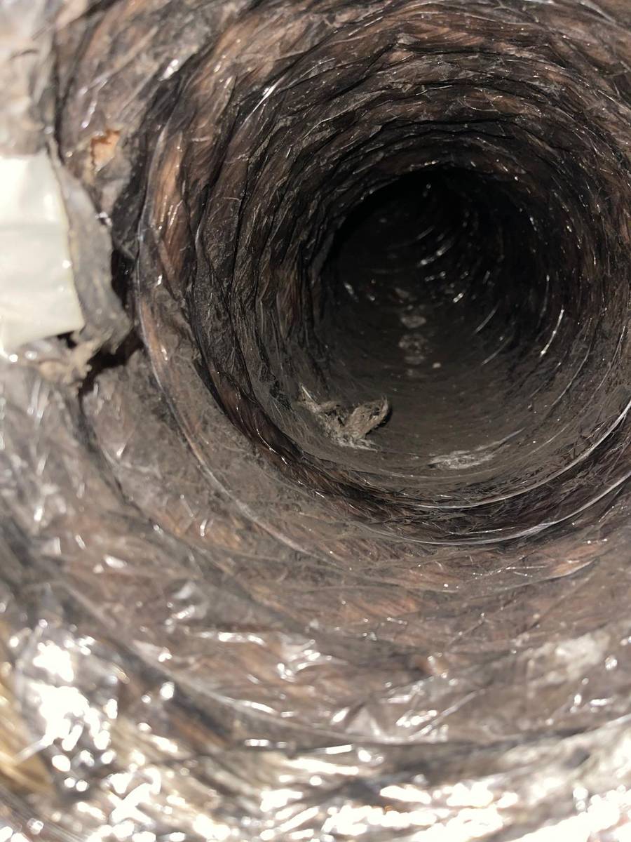Dusty flex duct run inside a southwest Houston home before cleaning